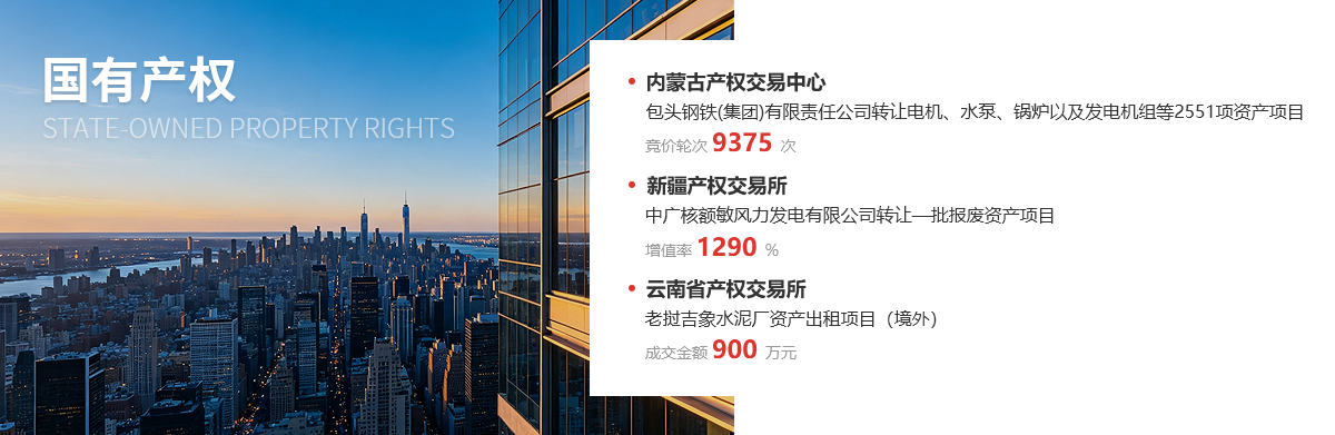 国有产权