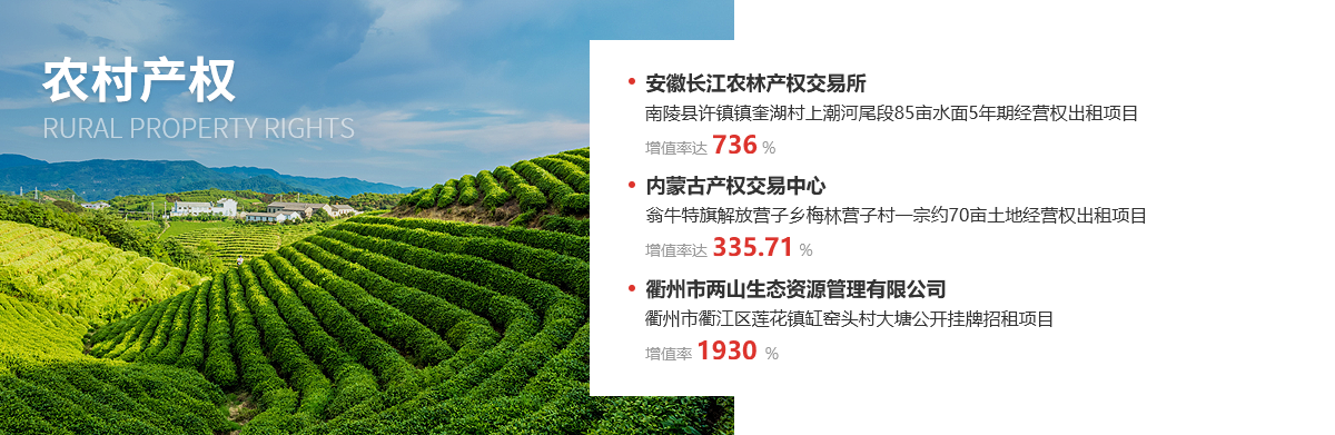 农村产权