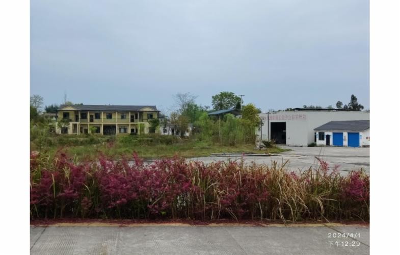 重庆市梁平区聚奎镇石牛村地块