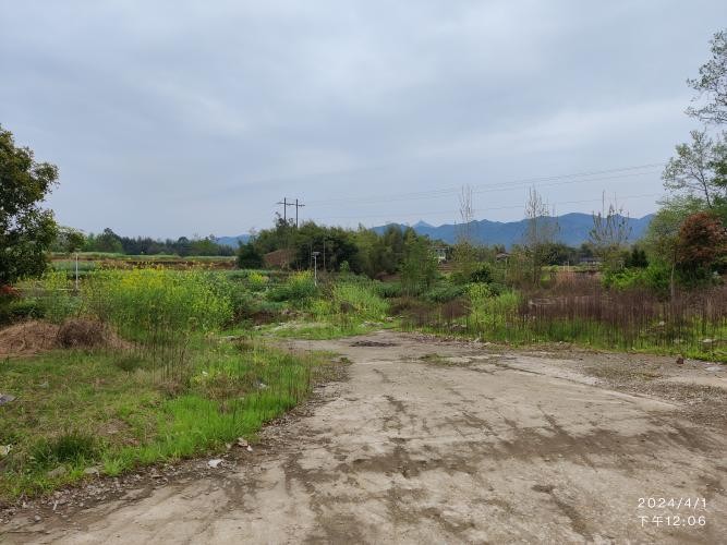 重庆市梁平区聚奎镇聚奎村地块
