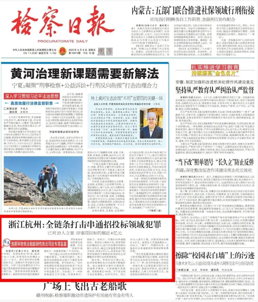 招投标涉案
